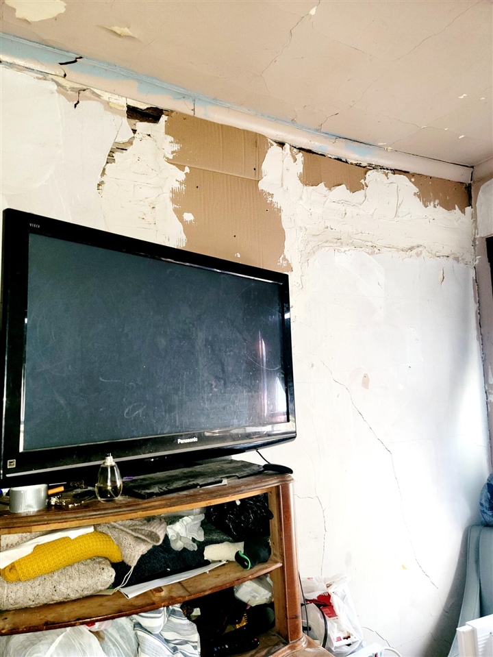 967 Continental Street, Detroit, MI, 48215-3917