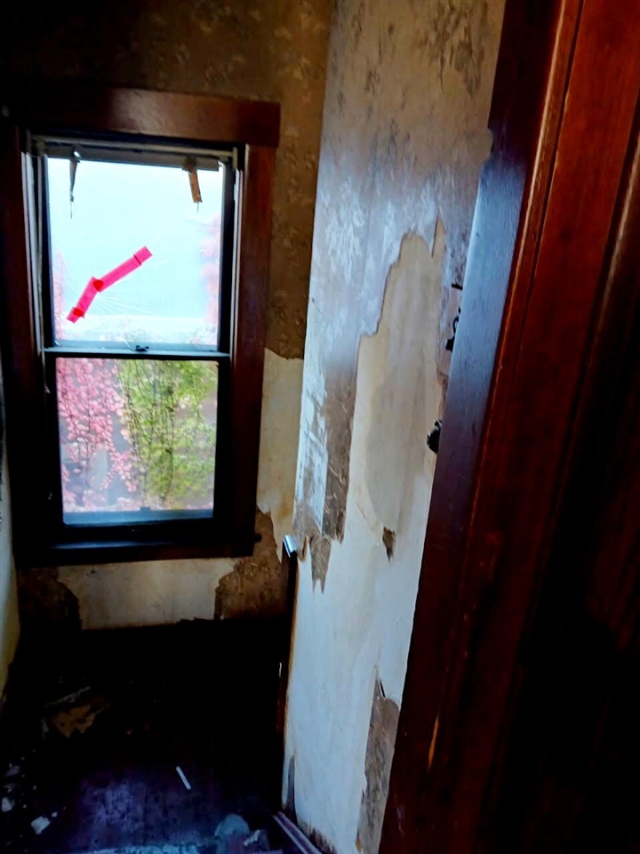 967 Continental Street, Detroit, MI, 48215-3917