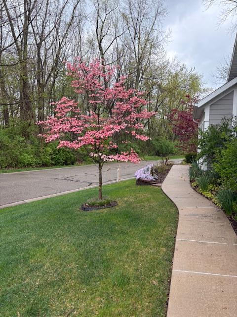 3061 Riverview Lane, Benton Harbor, MI, 49022-2479