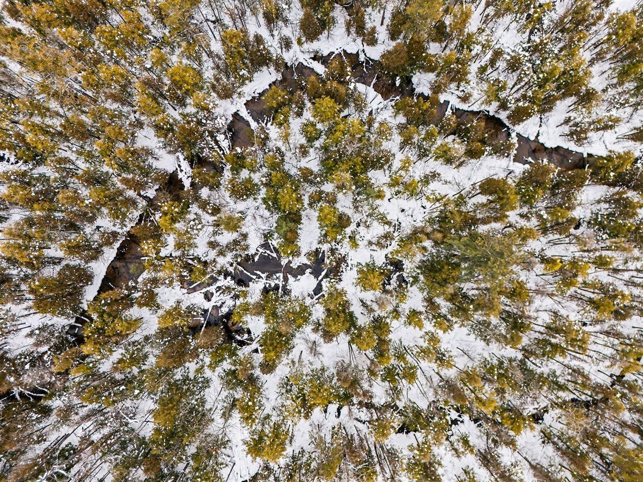 1789 S 58th Avenue, Shelby, MI, 49455-9657