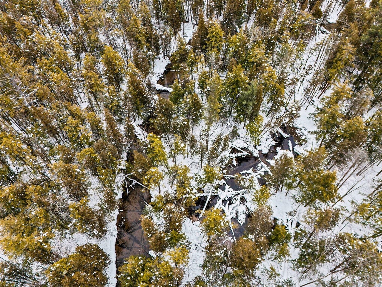 1789 S 58th Avenue, Shelby, MI, 49455-9657