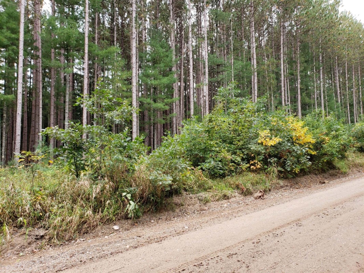 Photo of property for sale at V/L Lakola Road, LeRoy MI 49655