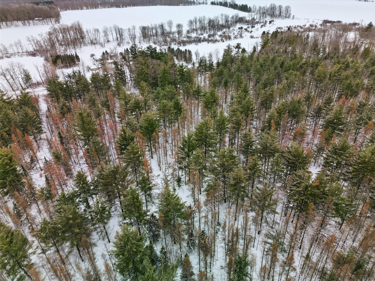 VL 17 Mile Road, Leroy, MI, 49655-8603