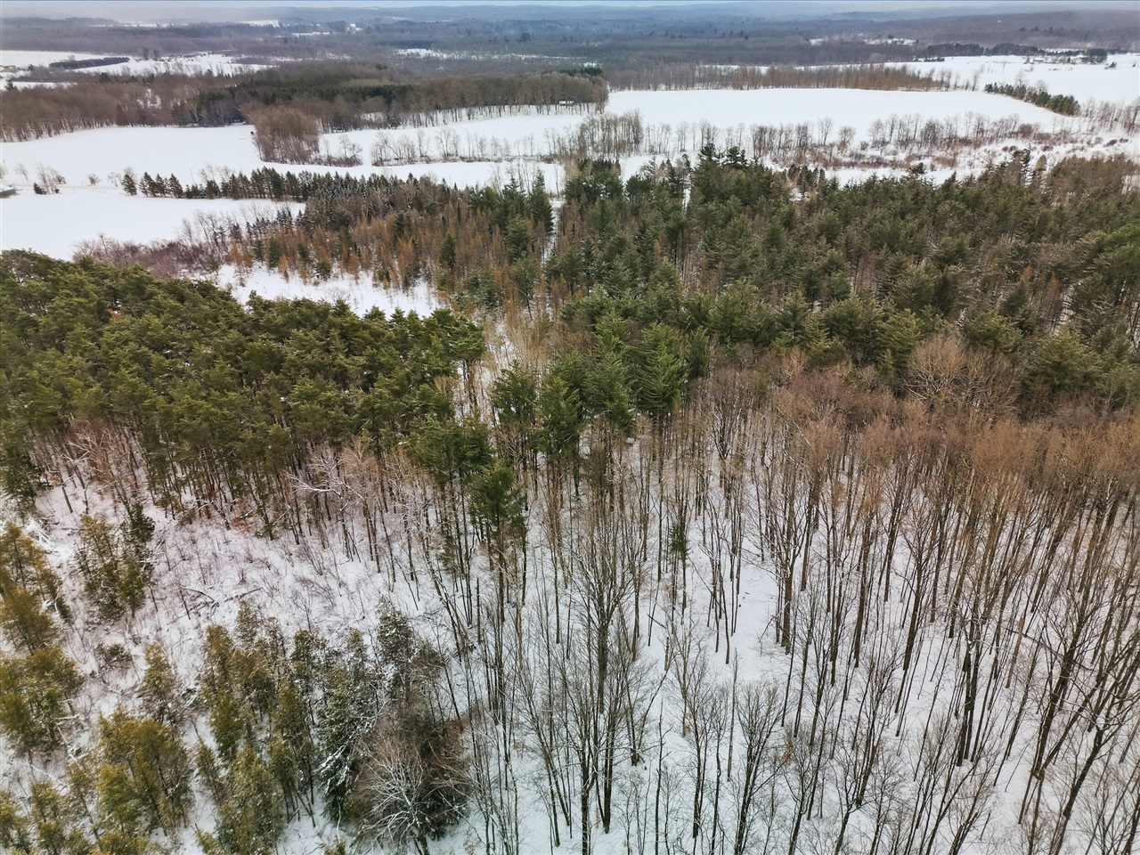 VL 17 Mile Road, Leroy, MI, 49655-8603