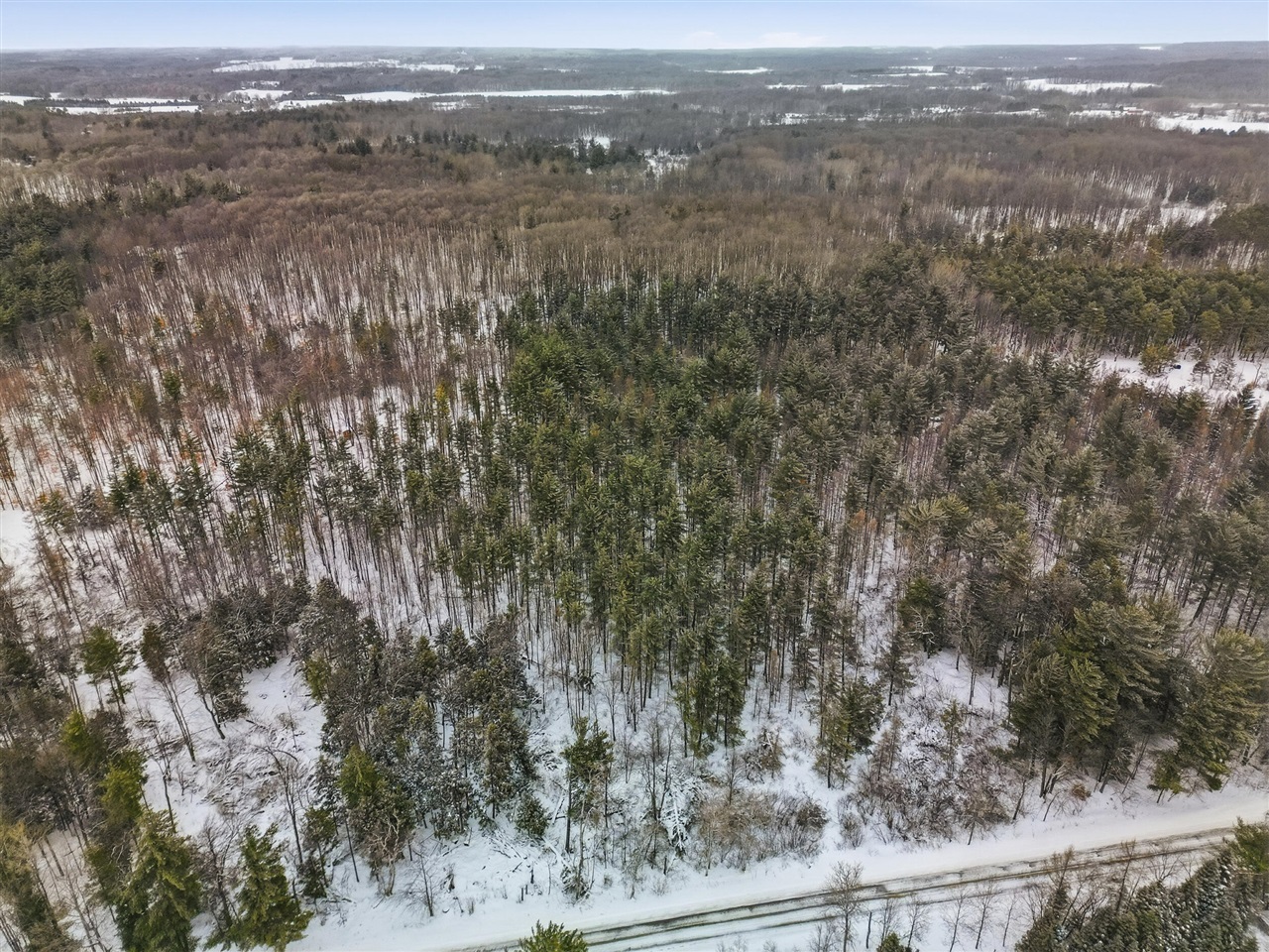 VL 17 Mile Road, Leroy, MI, 49655-8603