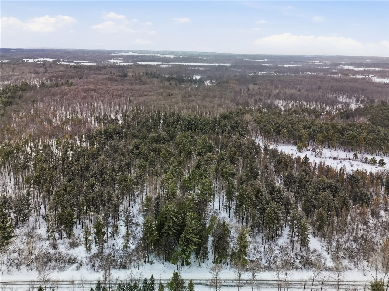 VL 17 Mile Road, Leroy, MI, 49655-8603