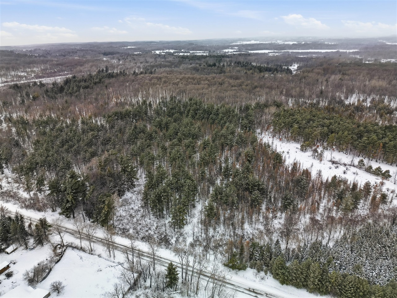 VL 17 Mile Road, Leroy, MI, 49655-8603