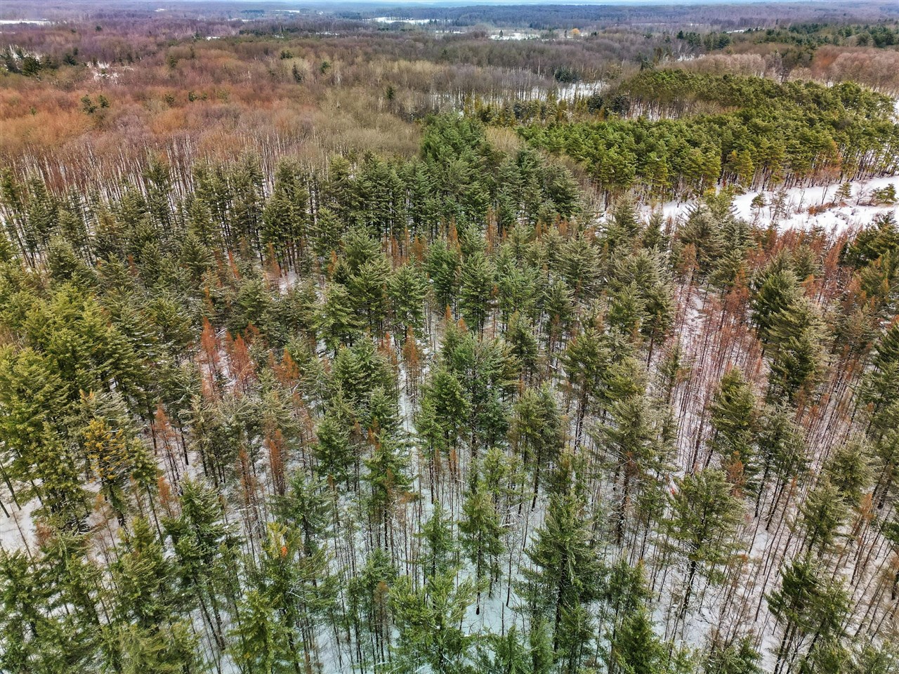 VL 17 Mile Road, Leroy, MI, 49655-8603