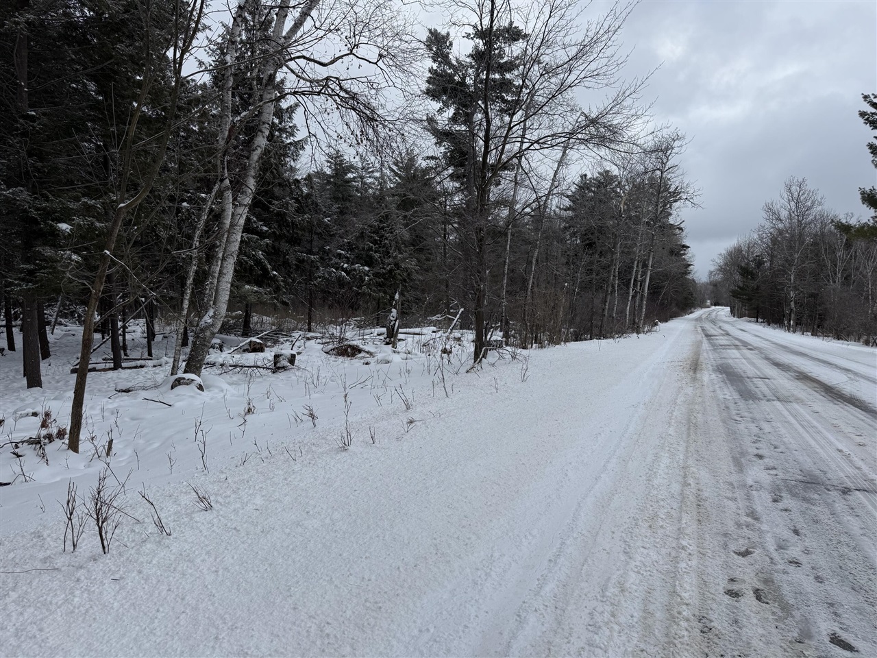 VL 17 Mile Road, Leroy, MI, 49655-8603