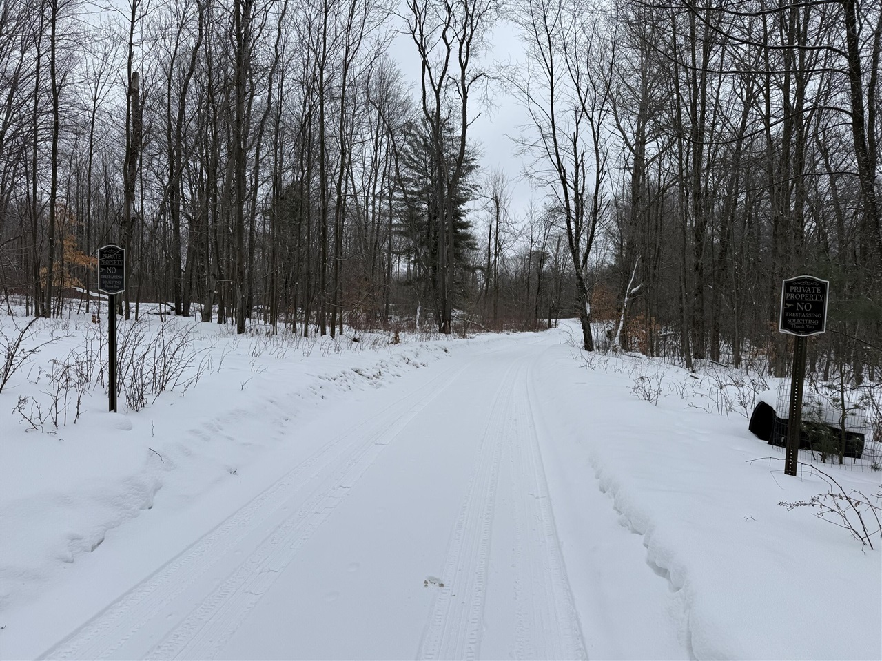 VL 17 Mile Road, Leroy, MI, 49655-8603