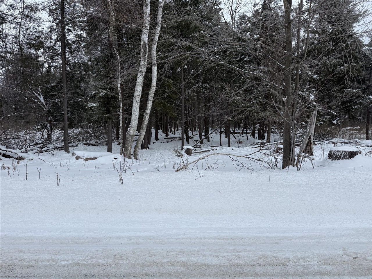 VL 17 Mile Road, Leroy, MI, 49655-8603