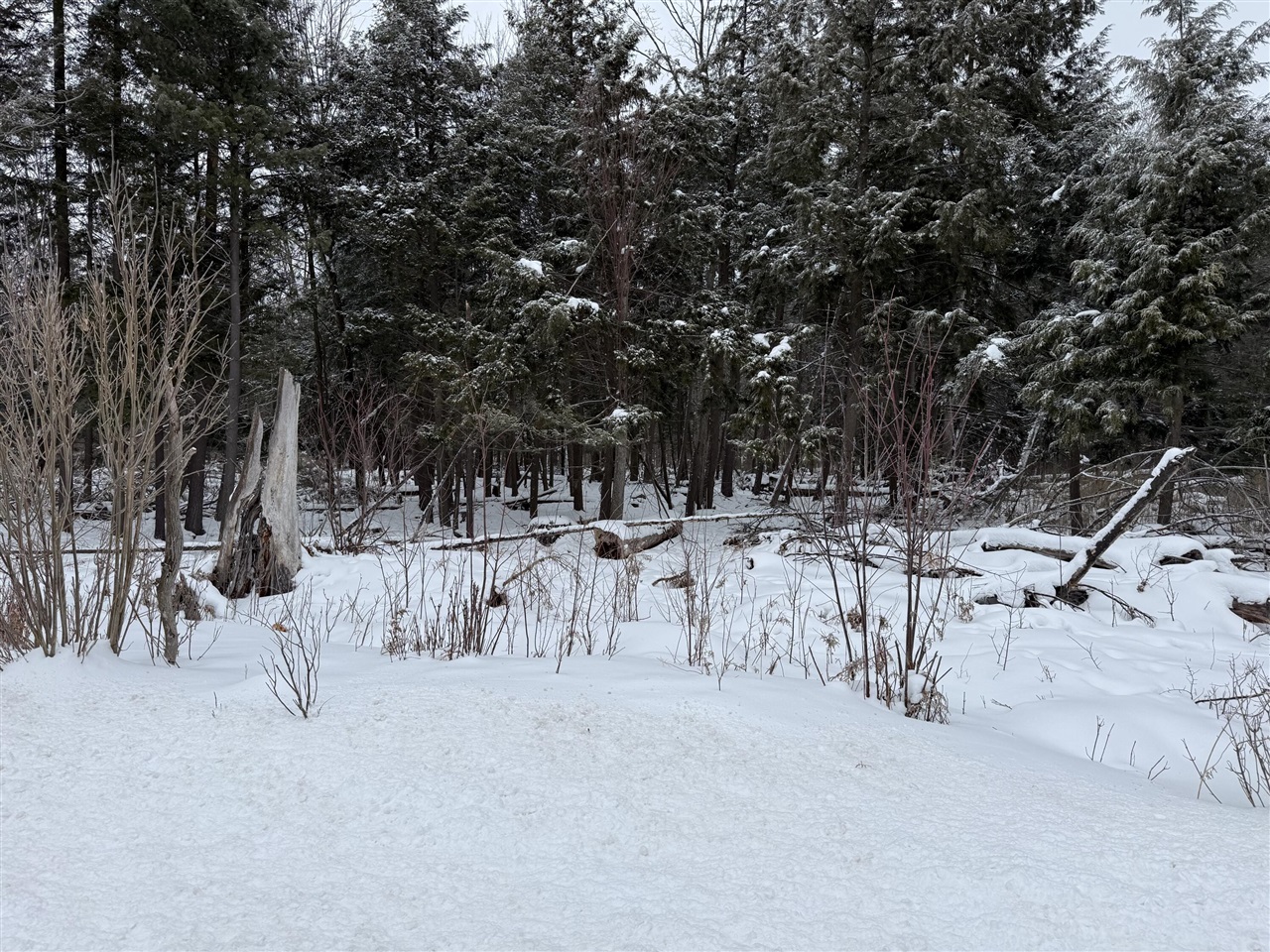 VL 17 Mile Road, Leroy, MI, 49655-8603