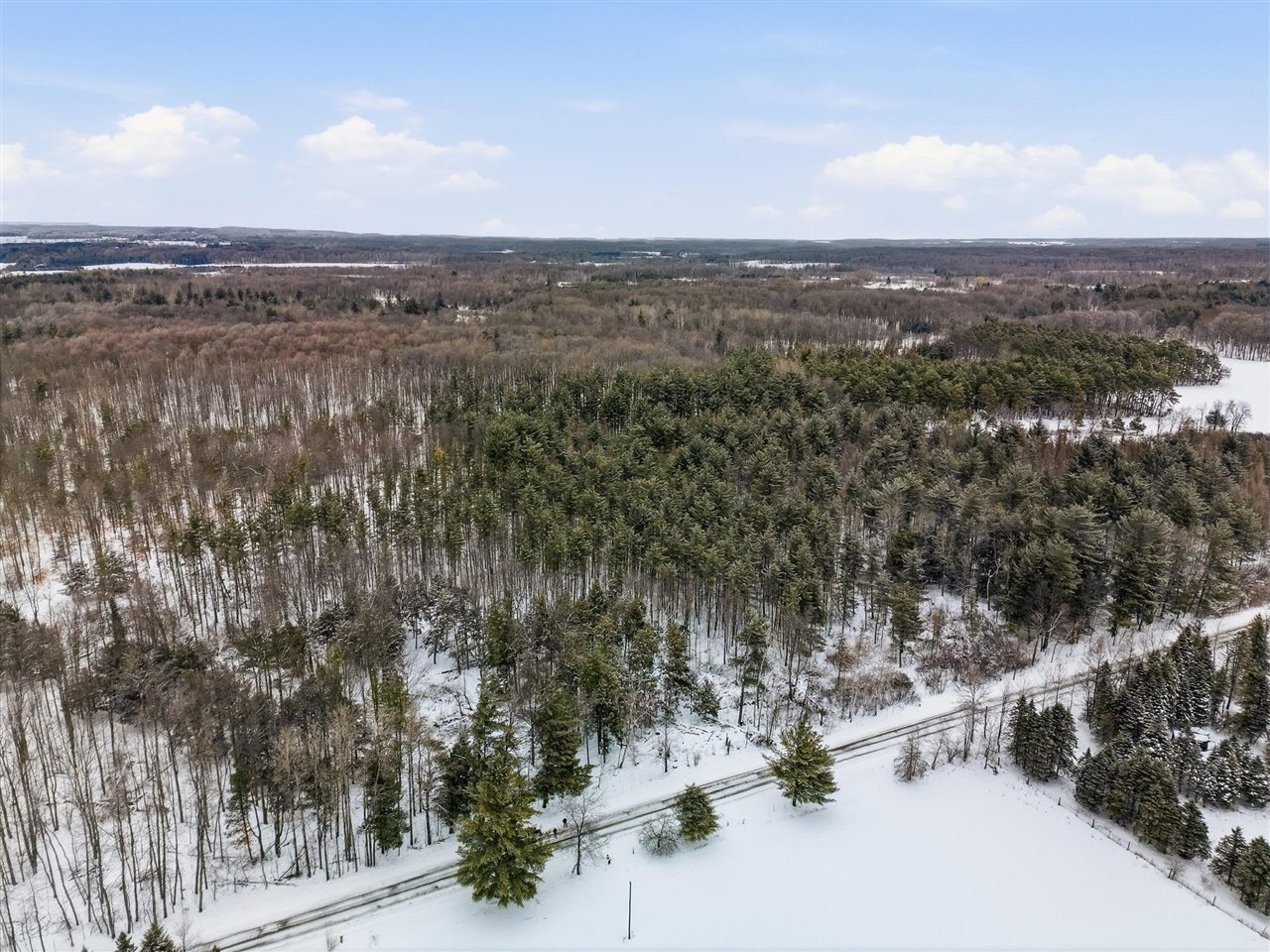 VL 17 Mile Road, Leroy, MI, 49655-8603