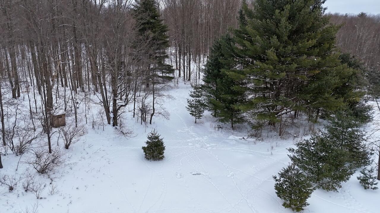 V/L 17 Mile Rd, Leroy, MI, 49655