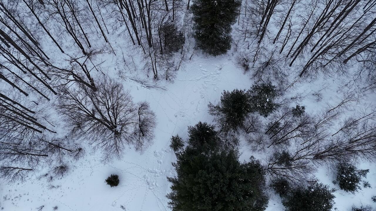 V/L 17 Mile Rd, Leroy, MI, 49655