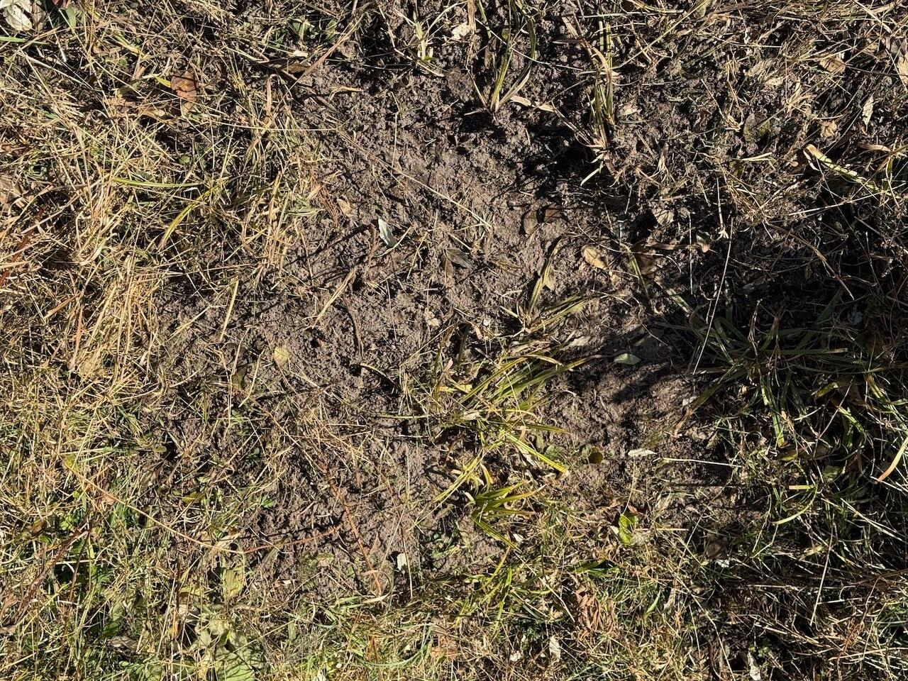 V/L 17 Mile Rd, Leroy, MI, 49655