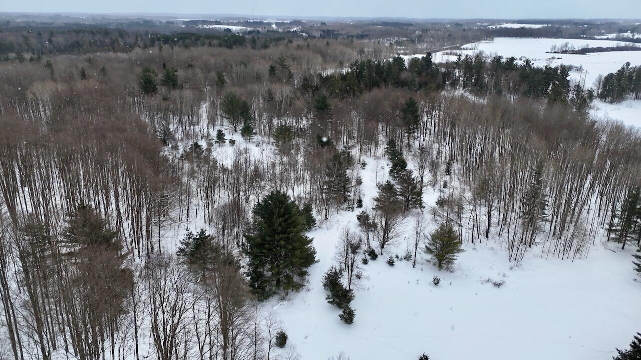 V/L 17 Mile Rd, Leroy, MI, 49655