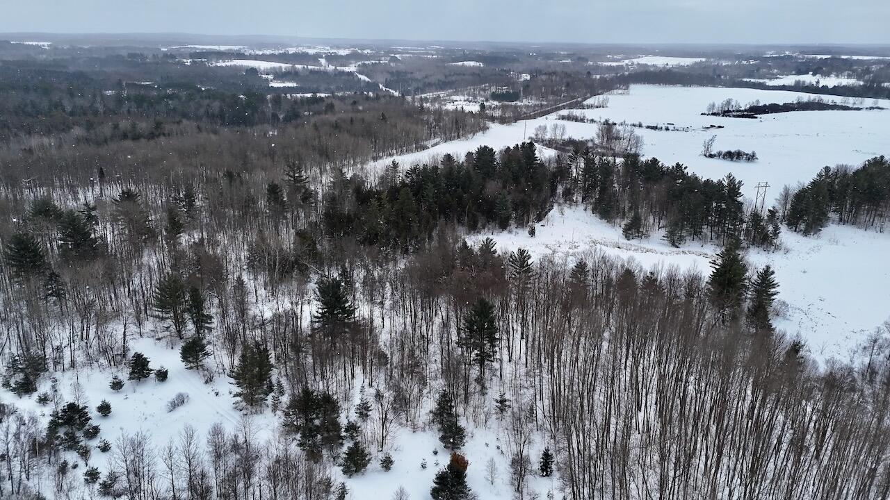 V/L 17 Mile Rd, Leroy, MI, 49655