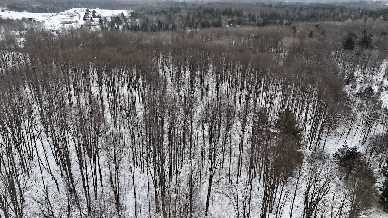 V/L 17 Mile Rd, Leroy, MI, 49655