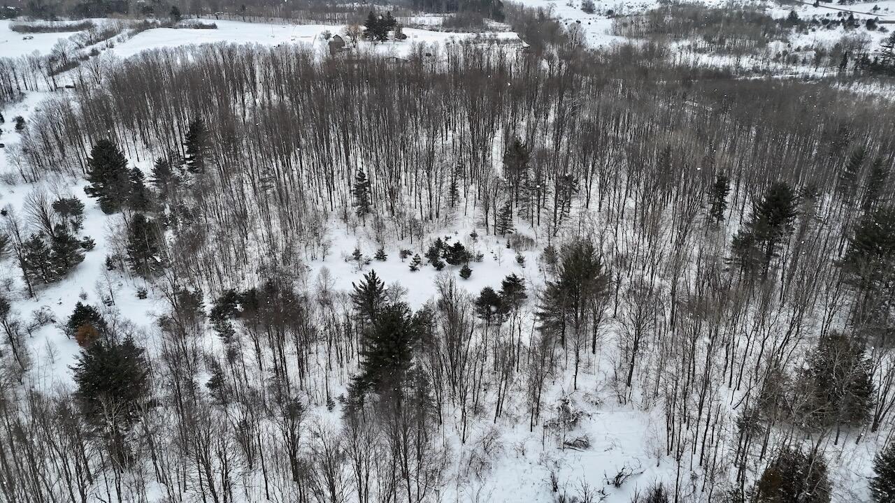 V/L 17 Mile Rd, Leroy, MI, 49655