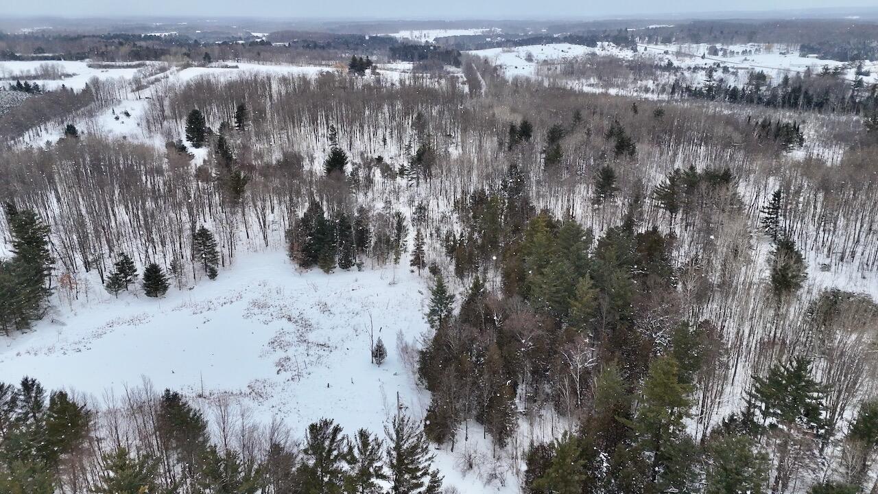 V/L 17 Mile Rd, Leroy, MI, 49655