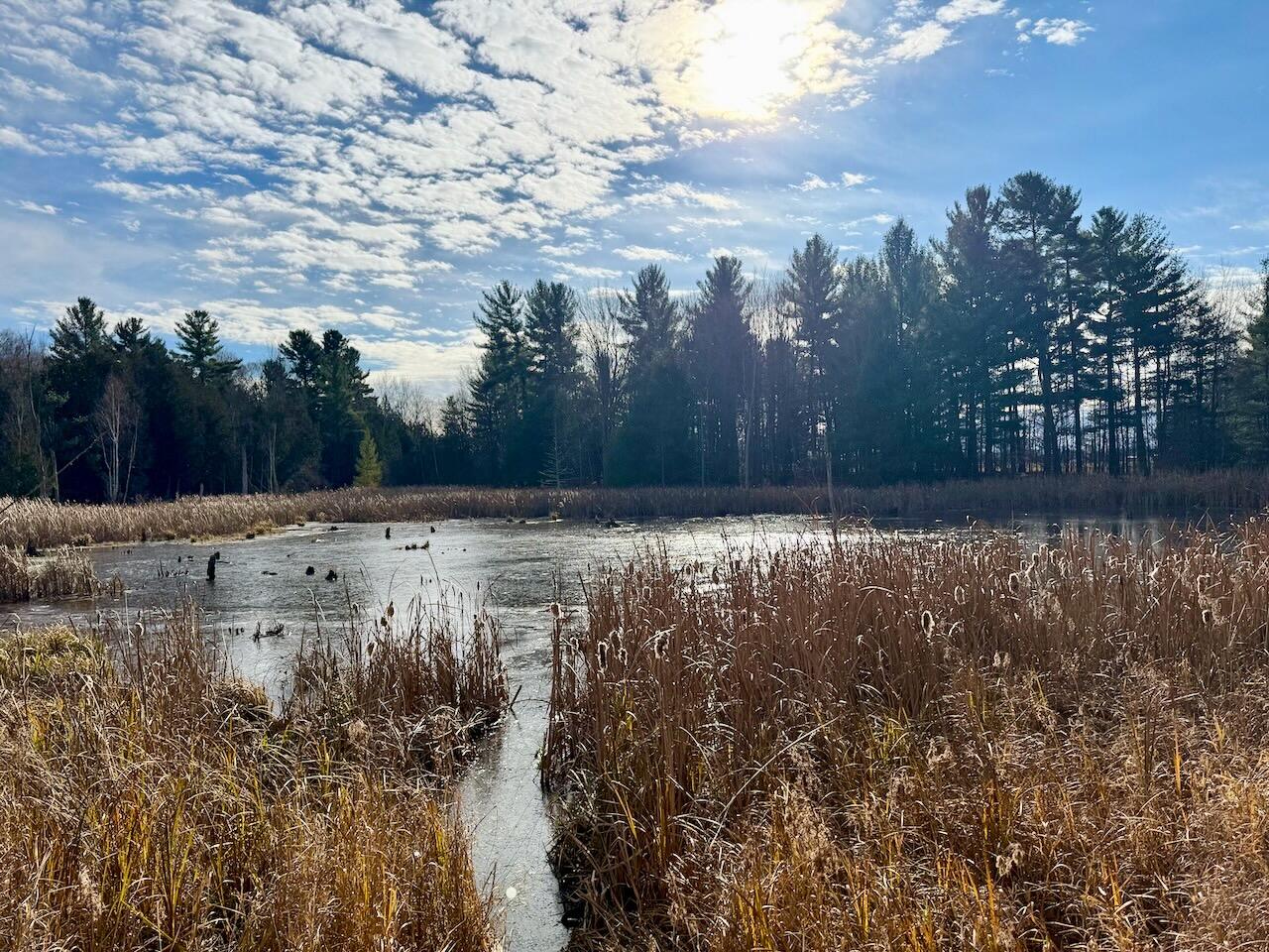 V/L 17 Mile Rd, Leroy, MI, 49655