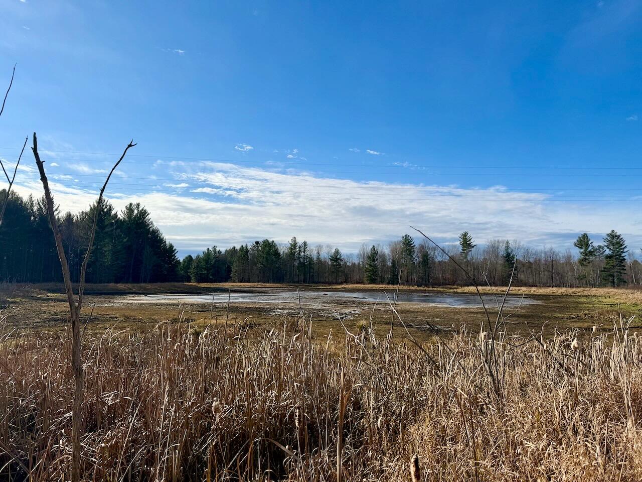 V/L 17 Mile Rd, Leroy, MI, 49655