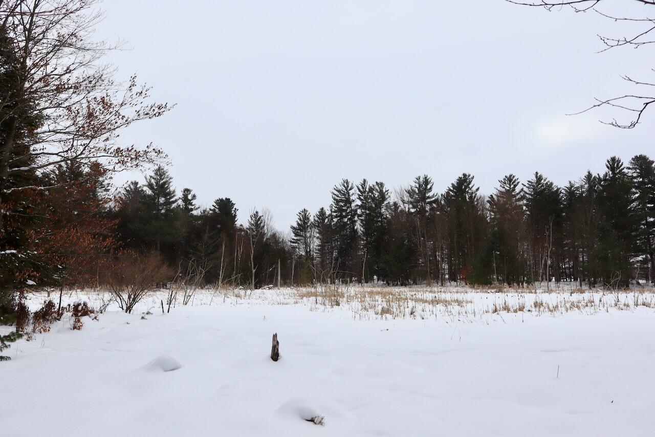 V/L 17 Mile Rd, Leroy, MI, 49655