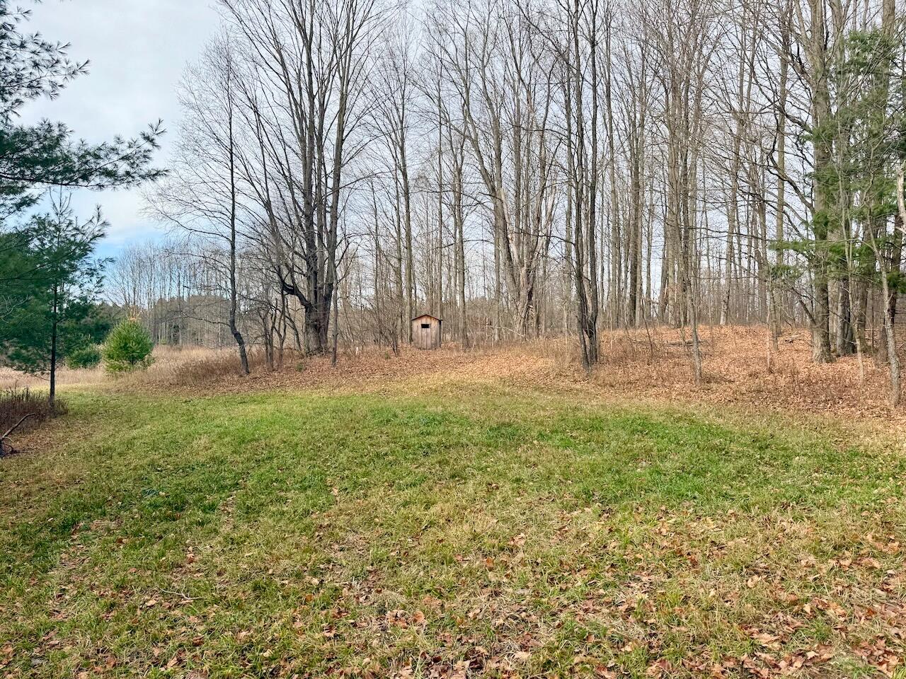 V/L 17 Mile Rd, Leroy, MI, 49655