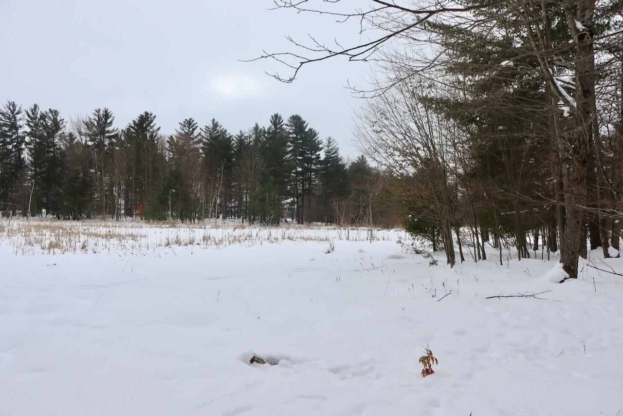 V/L 17 Mile Rd, Leroy, MI, 49655