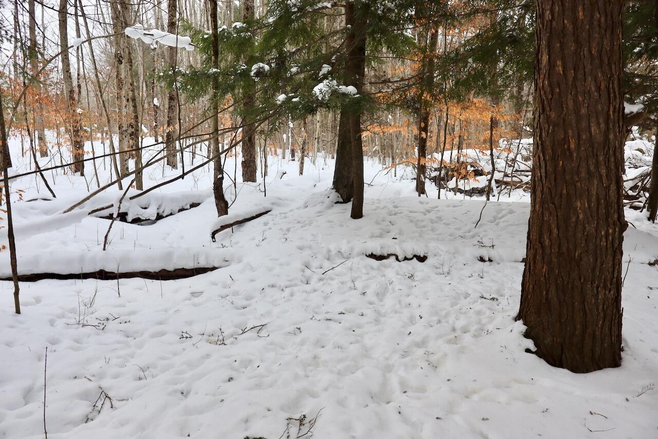 V/L 17 Mile Rd, Leroy, MI, 49655