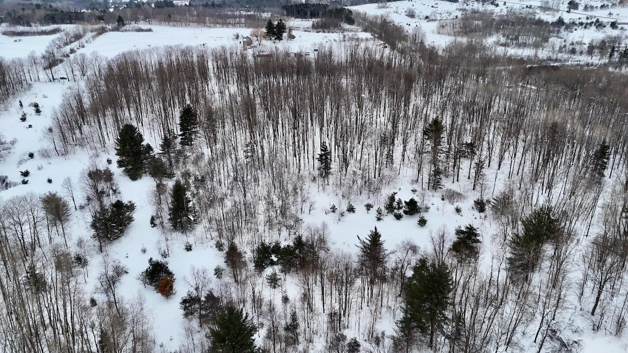 V/L 17 Mile Rd, Leroy, MI, 49655