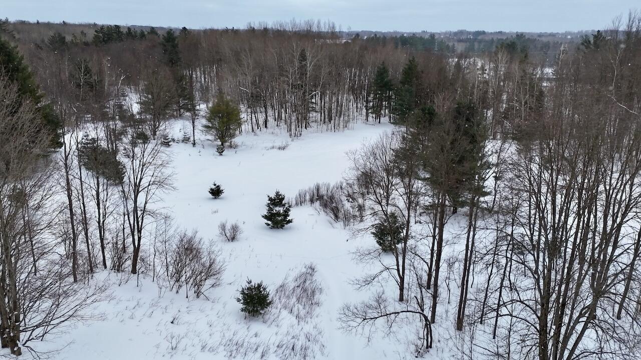 V/L 17 Mile Rd, Leroy, MI, 49655