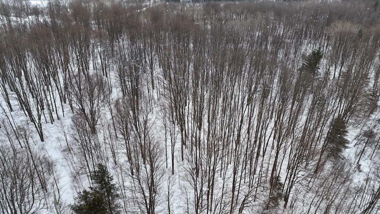 V/L 17 Mile Rd, Leroy, MI, 49655