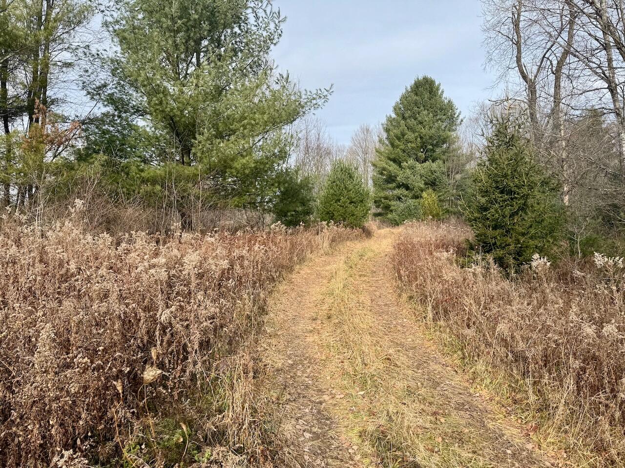 V/L 17 Mile Rd, Leroy, MI, 49655