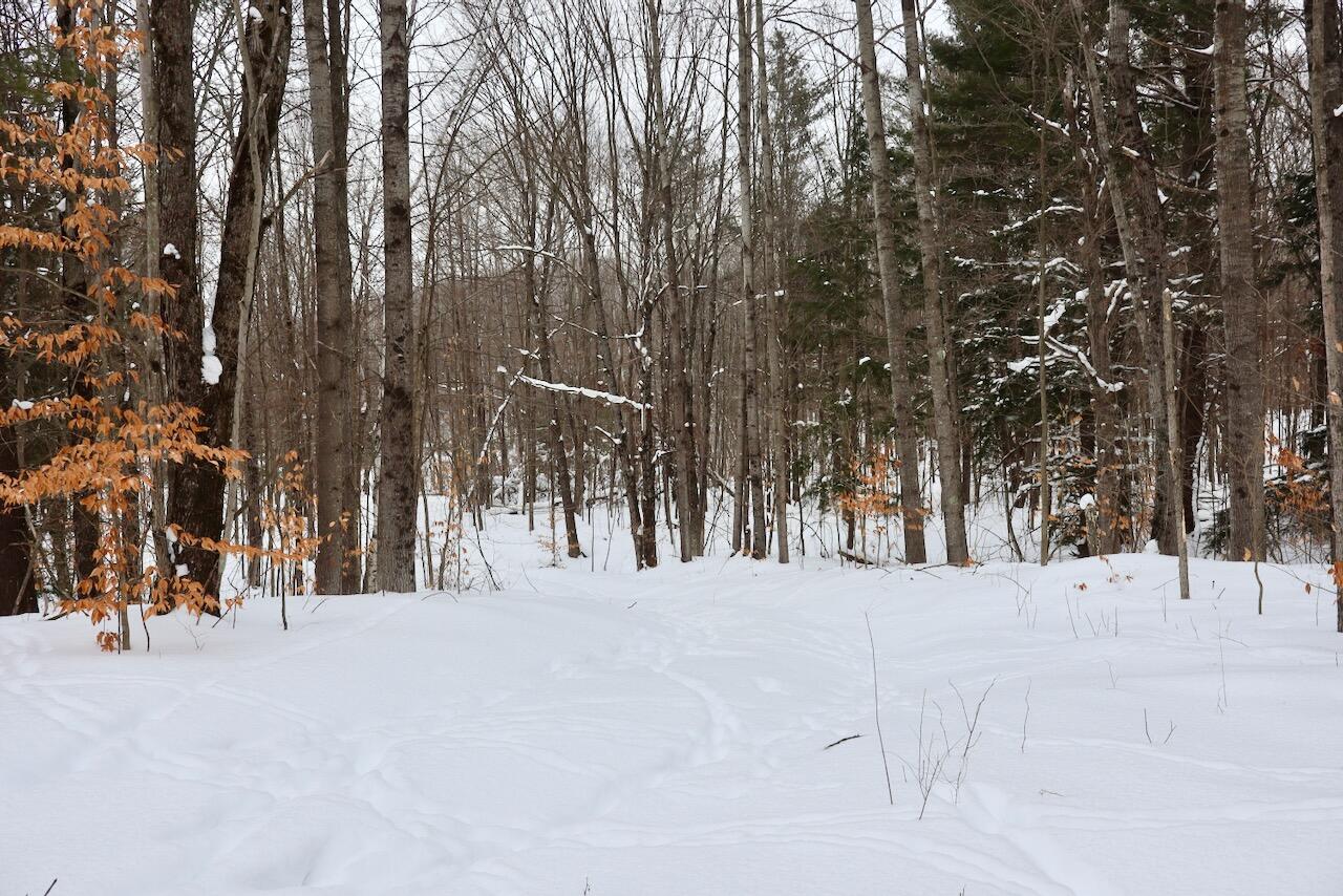 V/L 17 Mile Rd, Leroy, MI, 49655