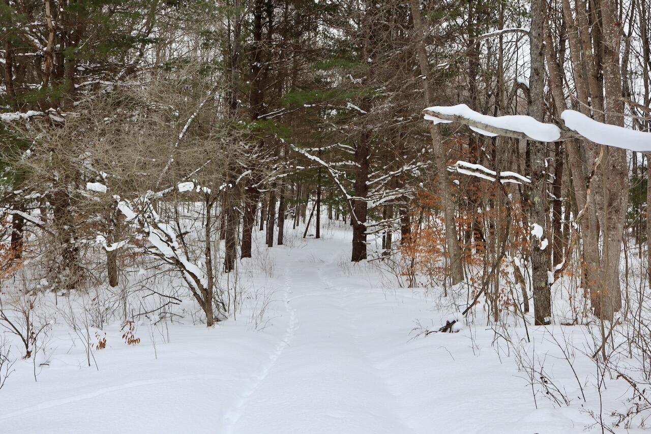 V/L 17 Mile Rd, Leroy, MI, 49655