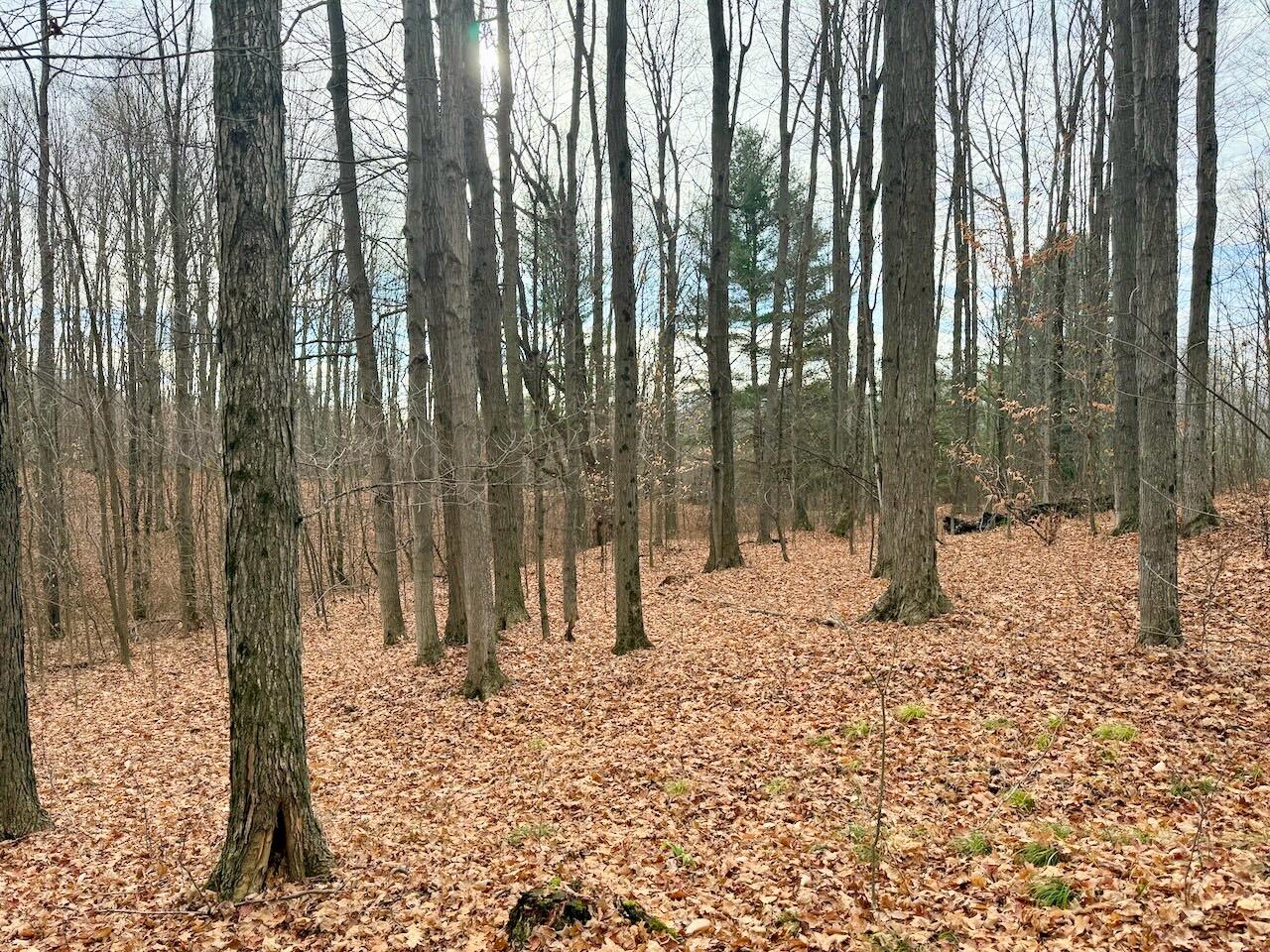 V/L 17 Mile Rd, Leroy, MI, 49655