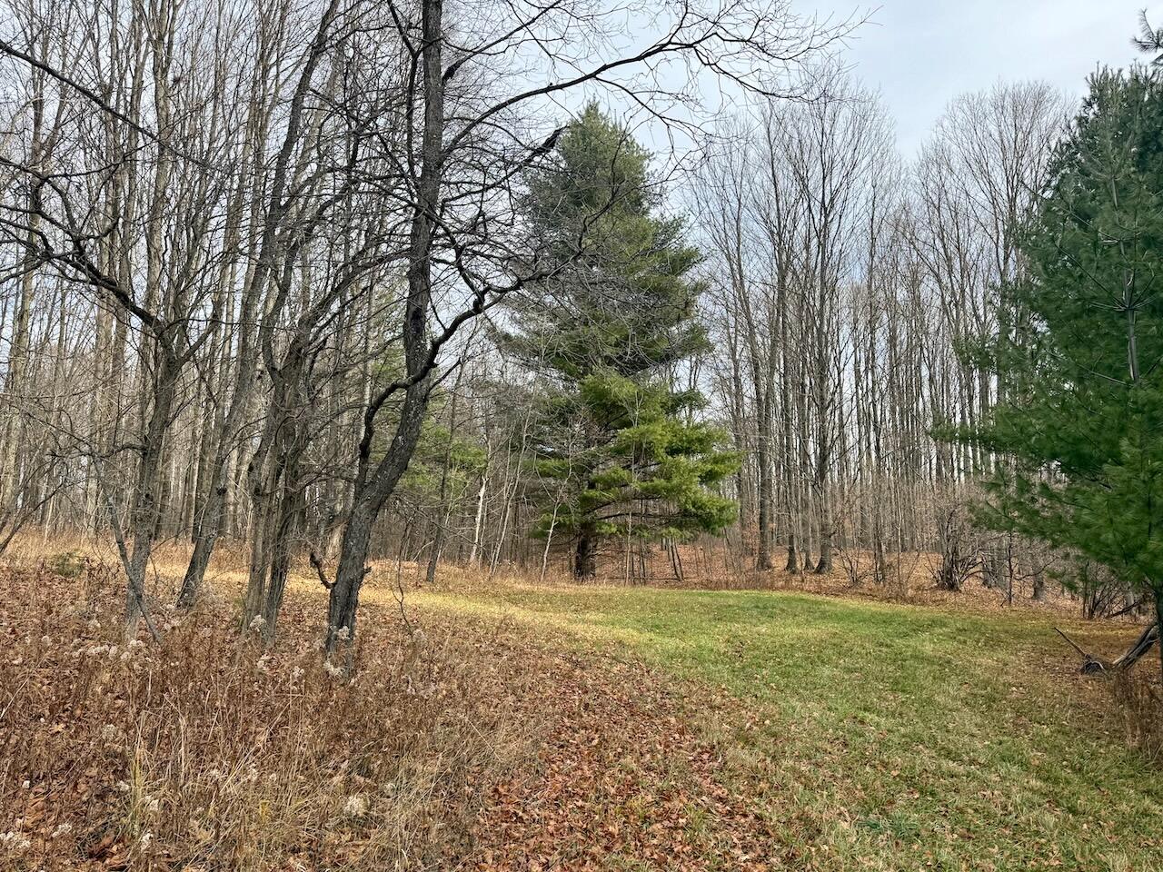 V/L 17 Mile Rd, Leroy, MI, 49655