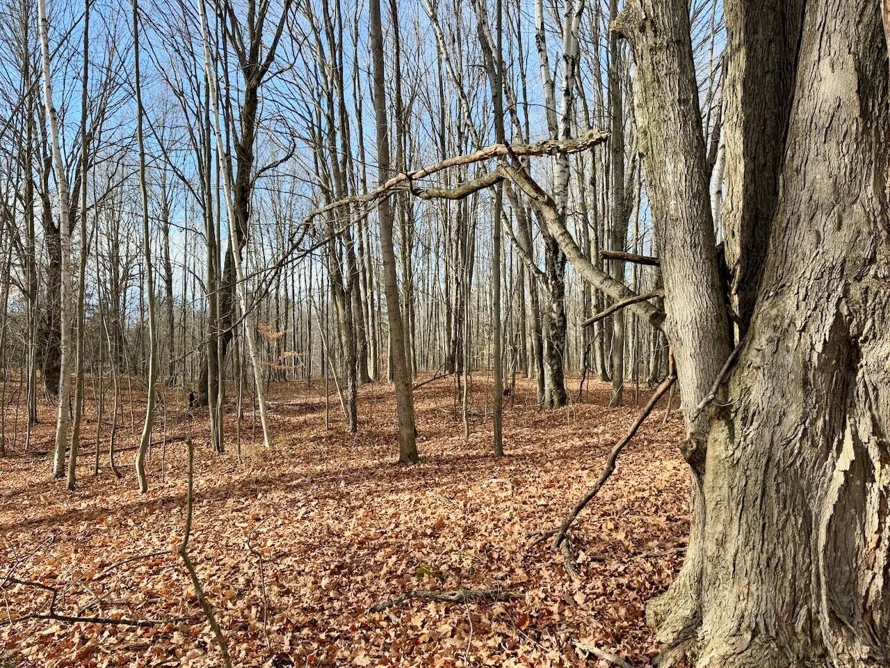 V/L 17 Mile Rd, Leroy, MI, 49655