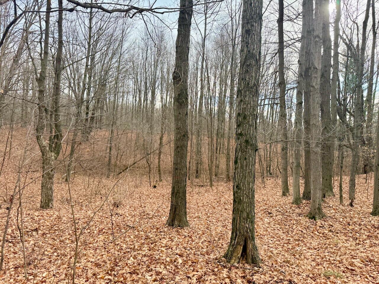 V/L 17 Mile Rd, Leroy, MI, 49655