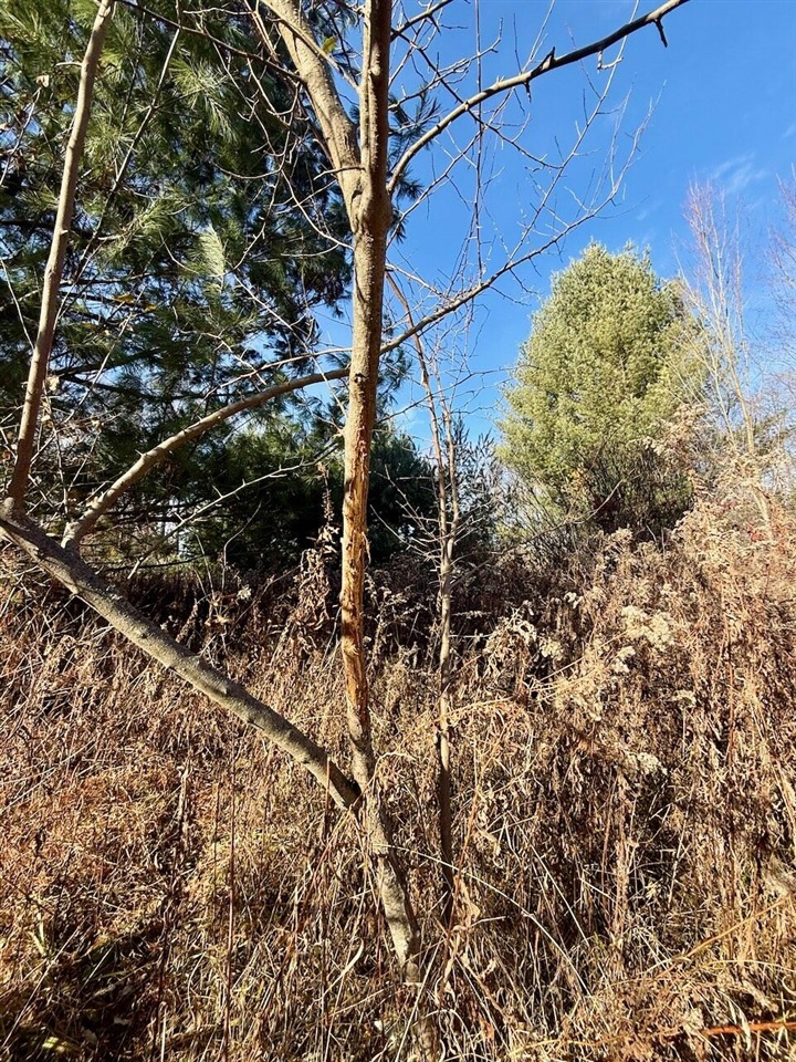 V/L 17 Mile Rd, Leroy, MI, 49655