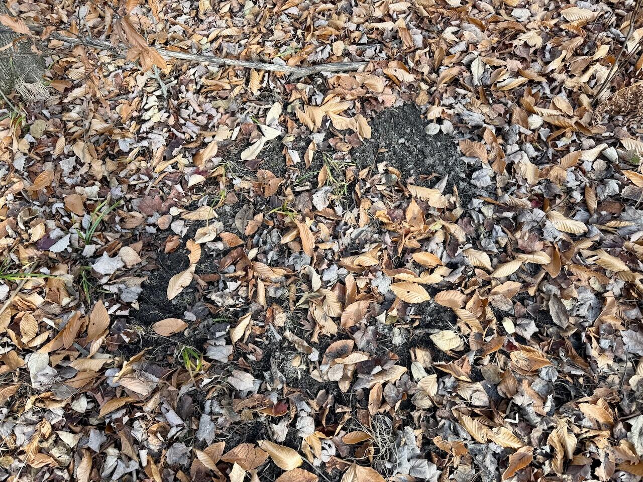 V/L 17 Mile Rd, Leroy, MI, 49655