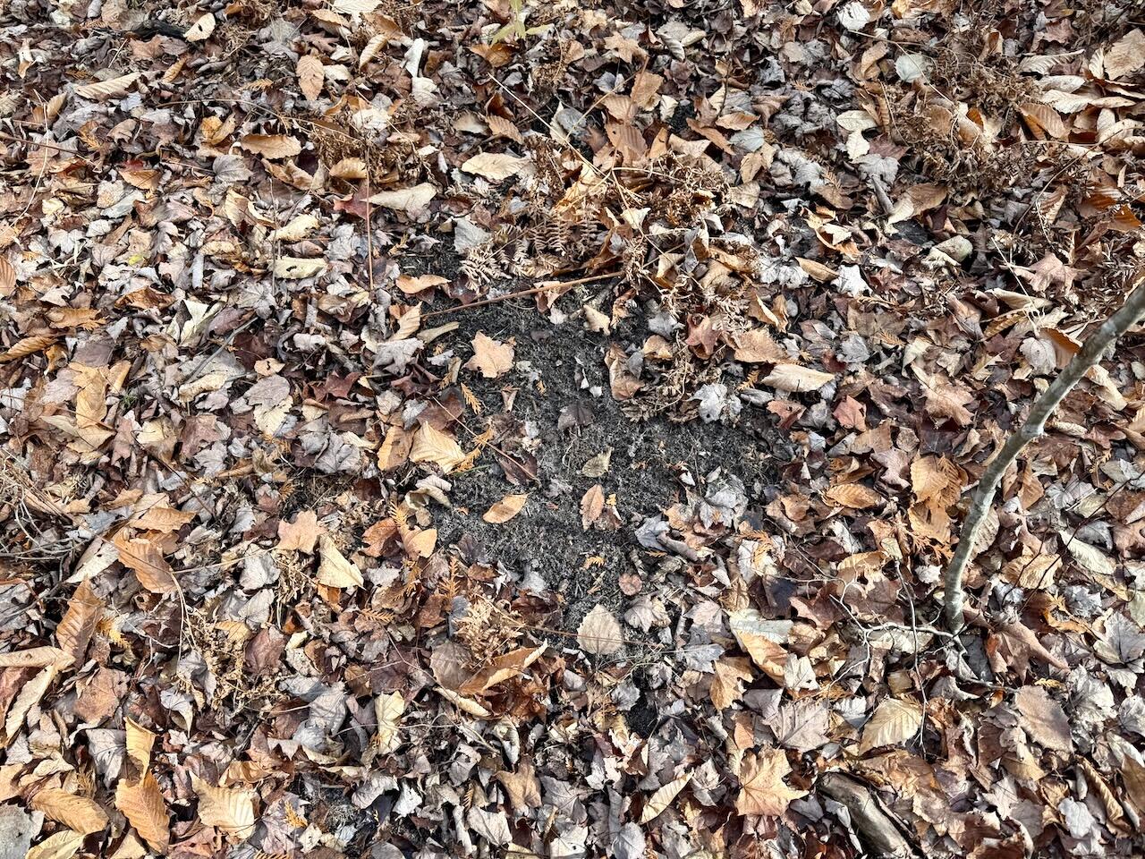 V/L 17 Mile Rd, Leroy, MI, 49655