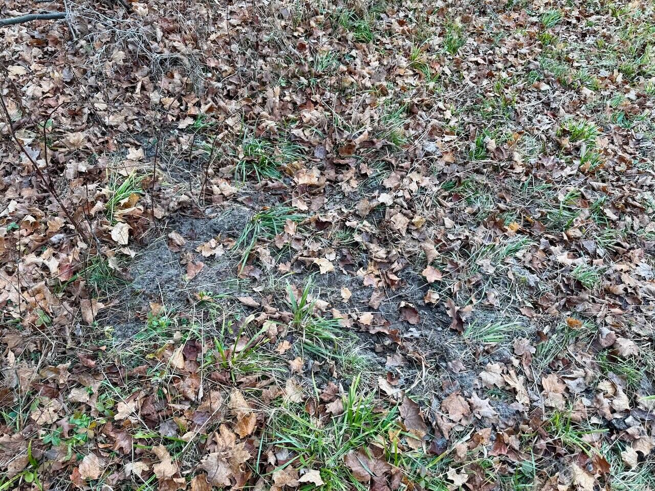 V/L 17 Mile Rd, Leroy, MI, 49655