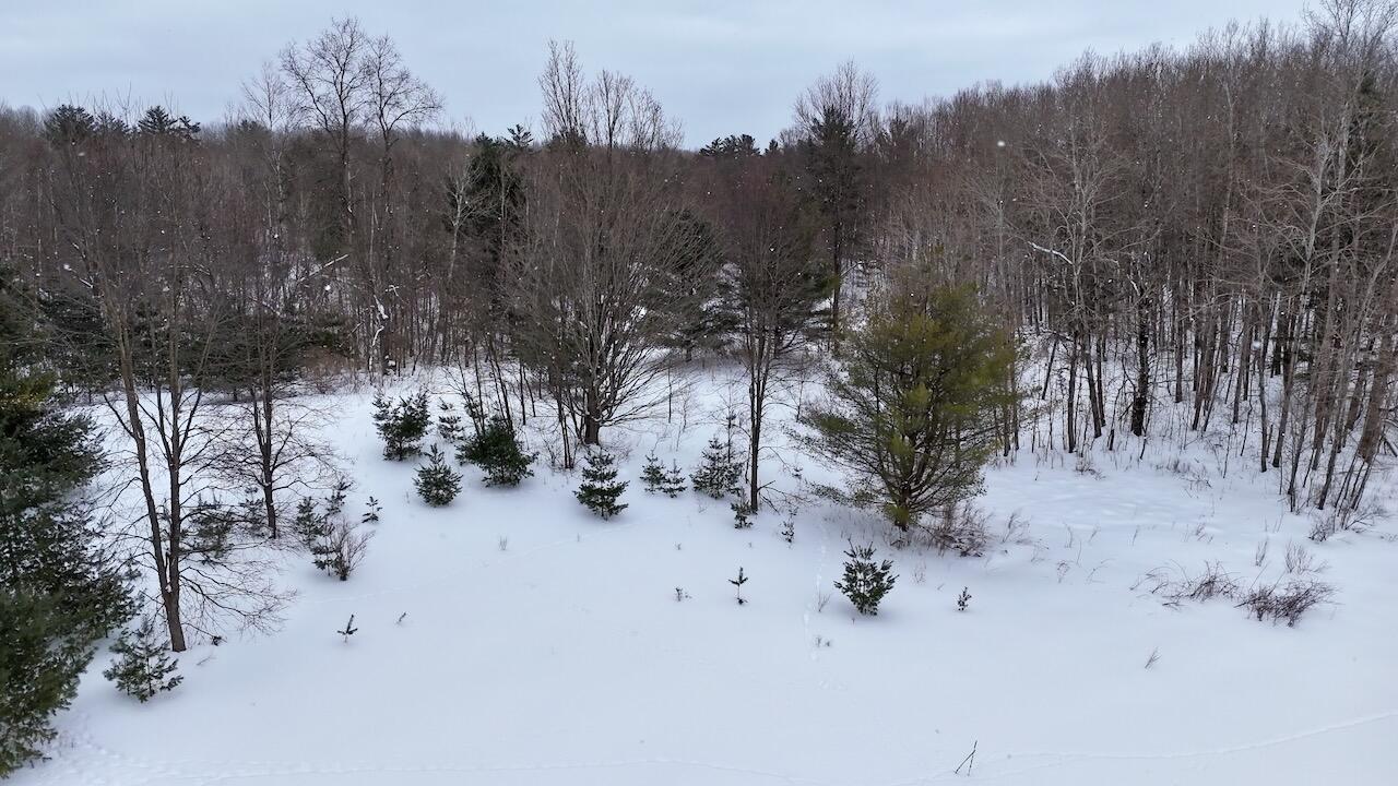 V/L 17 Mile Rd, Leroy, MI, 49655