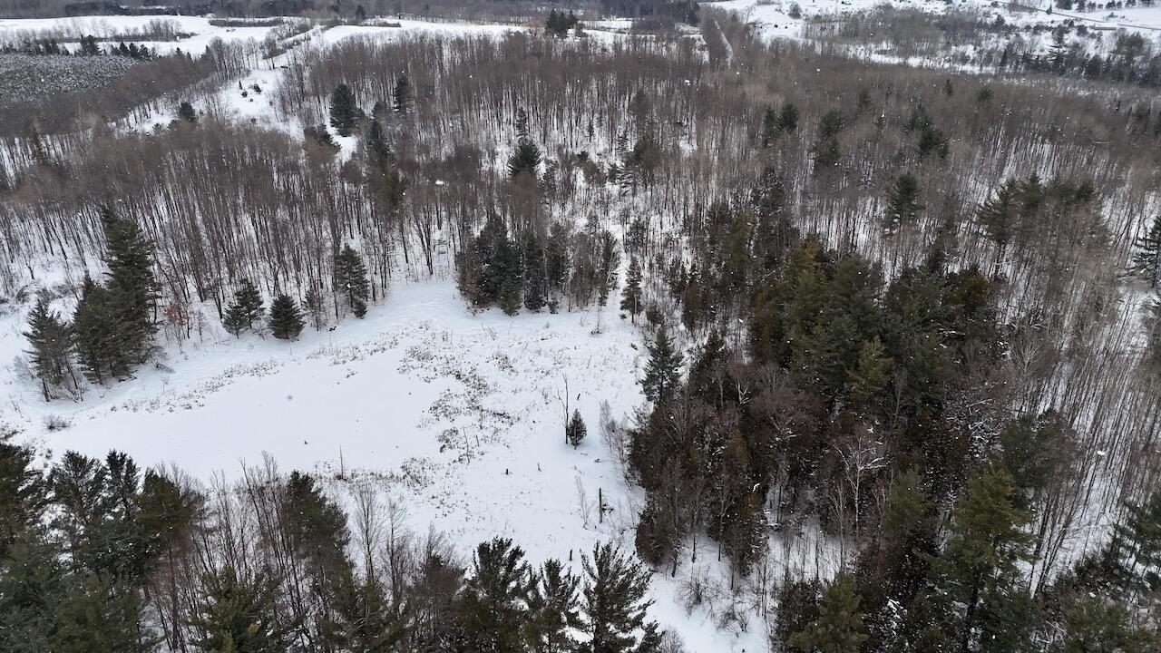 V/L 17 Mile Rd, Leroy, MI, 49655