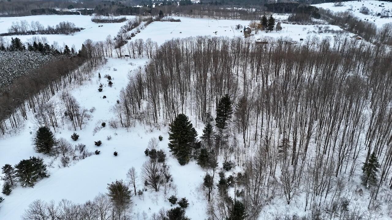 V/L 17 Mile Rd, Leroy, MI, 49655