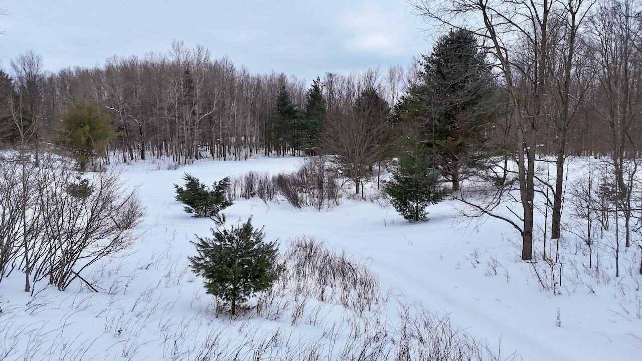 V/L 17 Mile Rd, Leroy, MI, 49655