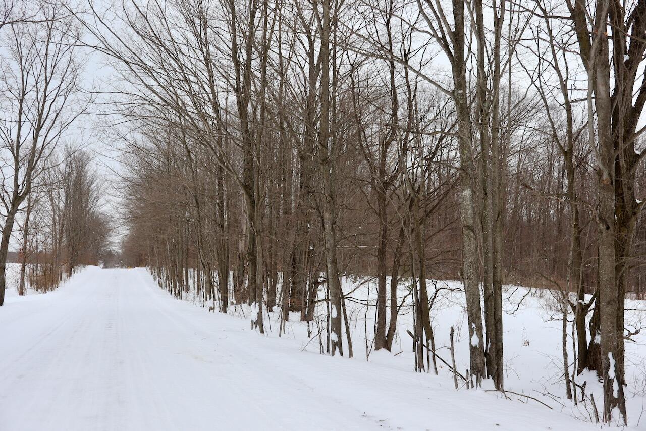 V/L 17 Mile Rd, Leroy, MI, 49655